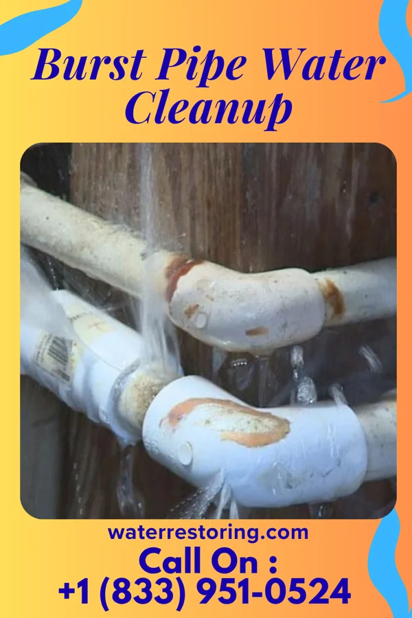 Burst Pipe Water Cleanup in Marietta, PA