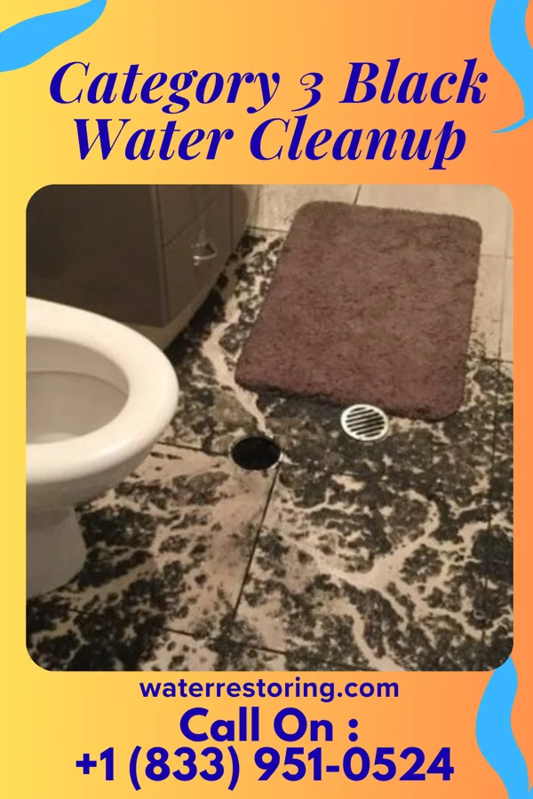 Category 3 Black Water Cleanup in Marietta, PA