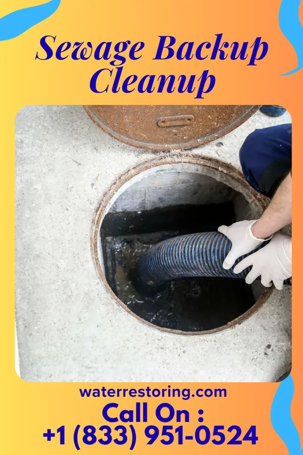 Sewage Backup Cleanup in Marietta, PA