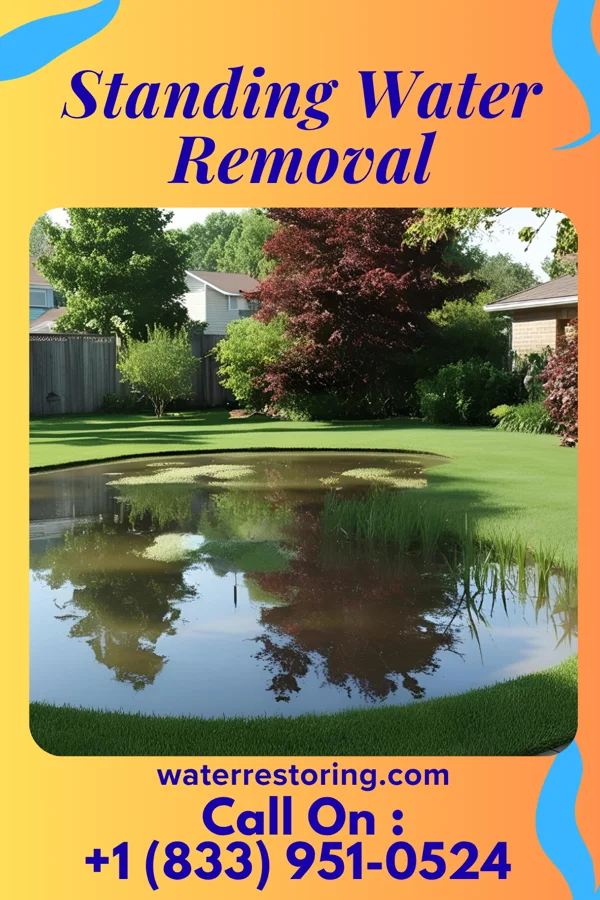 Standing Water Removal in Marietta, PA